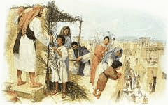 buildingsukkahsoftened